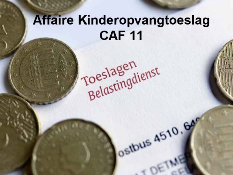 Staatssecretaris Snel heeft lak aan weggelakte teksten in WOB-besluit.