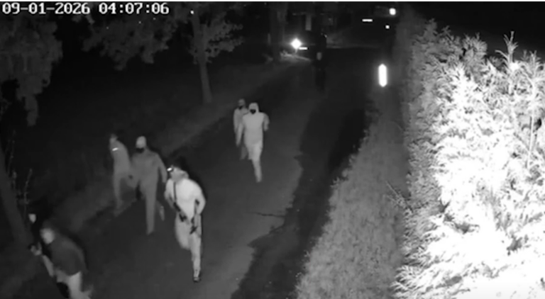 Politie werd mogelijk op twee plaatsen in Overasselt beschoten
